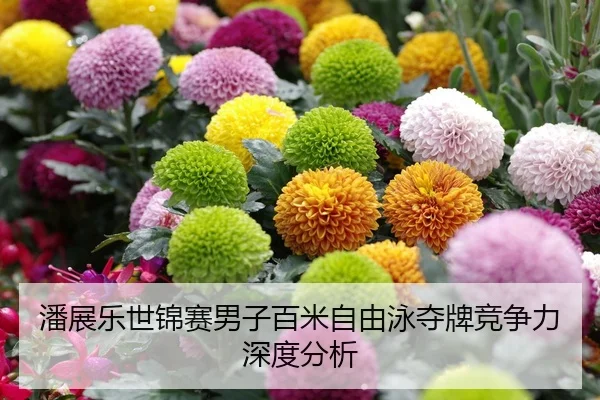 潘展乐世锦赛男子百米自由泳夺牌竞争力深度分析