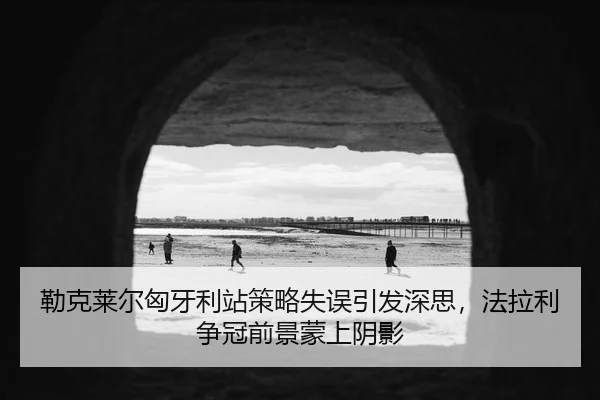 lei-ke-lai-er-xiong-ya-li-zhan-ce-lve-shi-wu-yin-fa-shen-si-fa-la-li-zheng-guan-qian-jing-meng-shang-yin-ying-2-409.jpg